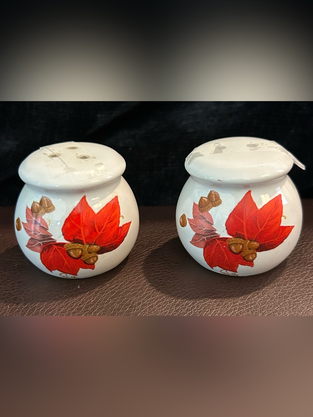 Hand-Painted White Ceramic Salt & Pepper Shakers with Red Leaf Design
